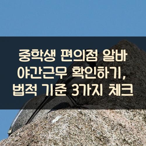 중학생 편의점 알바 야간근무 확인하기, 법적 기준 3가지 체크