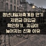 청년내일저축계좌 만기 지원금 미입금 확인하기, 지급이 늦어지는 진짜 이유