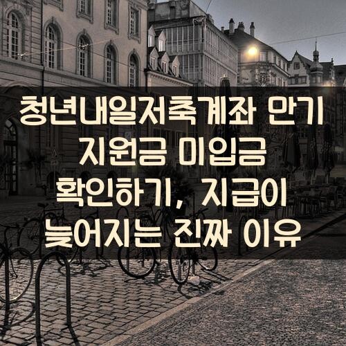 청년내일저축계좌 만기 지원금 미입금 확인하기, 지급이 늦어지는 진짜 이유