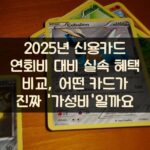2025년 신용카드 연회비 대비 실속 혜택 비교, 어떤 카드가 진짜 '가성비'일까요? 2 2025년 신용카드 연회비 대비 실속 혜택 비교, 어떤 카드가 진짜 '가성비'일까요?