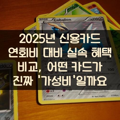 2025년 신용카드 연회비 대비 실속 혜택 비교, 어떤 카드가 진짜 '가성비'일까요?