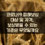 코로나19 피해보상 대상 및 자격, 보상받을 수 있는 기준은 무엇일까요?
