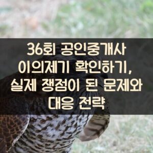 36회 공인중개사 이의제기 확인하기, 실제 쟁점이 된 문제와 대응 전략