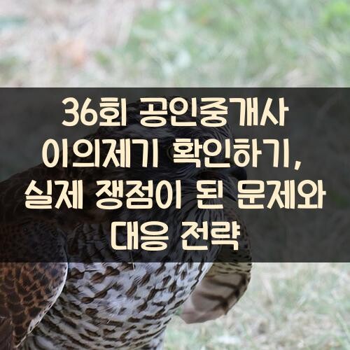 36회 공인중개사 이의제기 확인하기, 실제 쟁점이 된 문제와 대응 전략