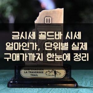 금시세 골드바 시세 얼마인가, 단위별 실제 구매가까지 한눈에 정리