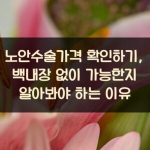 노안수술가격 확인하기, 백내장 없이 가능한지 알아봐야 하는 이유 노안수술가격 확인하기, 백내장 없이 가능한지 알아봐야 하는 이유