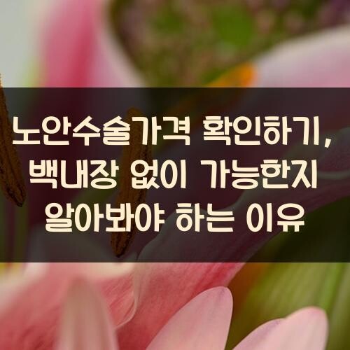 노안수술가격 확인하기, 백내장 없이 가능한지 알아봐야 하는 이유