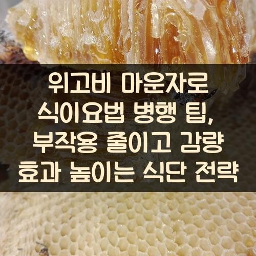 위고비 마운자로 식이요법 병행 팁, 부작용 줄이고 감량 효과 높이는 식단 전략