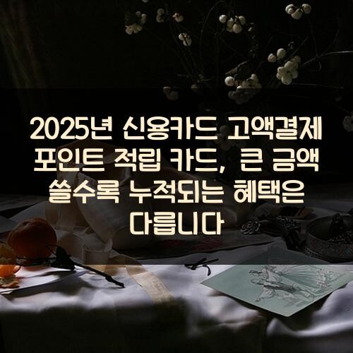 2025년 신용카드 고액결제 포인트 적립 카드, 큰 금액 쓸수록 누적되는 혜택은 다릅니다