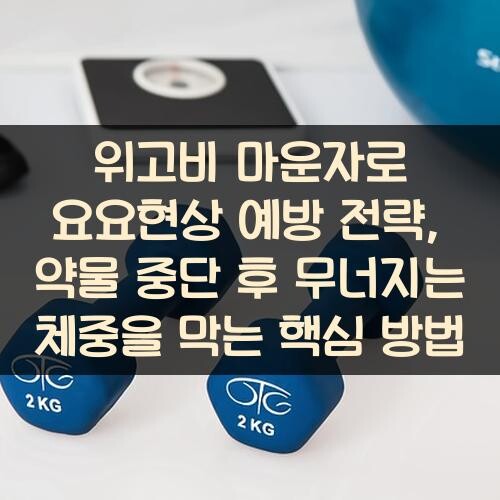 위고비 마운자로 요요현상 예방 전략, 약물 중단 후 무너지는 체중을 막는 핵심 방법