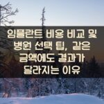 임플란트 비용 비교 및 병원 선택 팁, 같은 금액에도 결과가 달라지는 이유