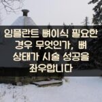 임플란트 뼈이식 필요한 경우 무엇인가, 뼈 상태가 시술 성공을 좌우합니다