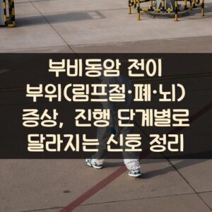 부비동암 전이 부위(림프절·폐·뇌) 증상, 진행 단계별로 달라지는 신호 정리