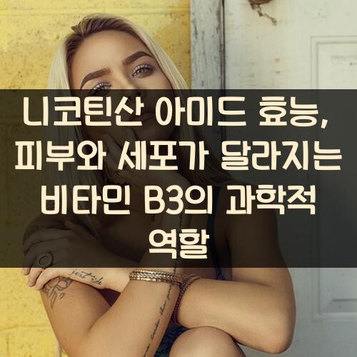 니코틴산 아미드 효능, 피부와 세포가 달라지는 비타민 B3의 과학적 역할