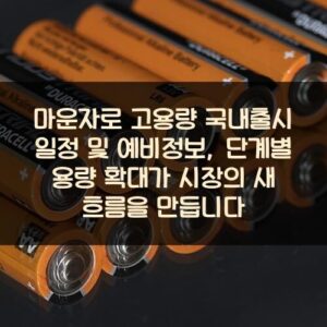 마운자로 고용량 국내출시 일정 및 예비정보, 단계별 용량 확대가 시장의 새 흐름을 만듭니다