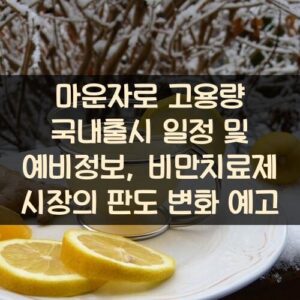 마운자로 고용량 국내출시 일정 및 예비정보, 비만치료제 시장의 판도 변화 예고