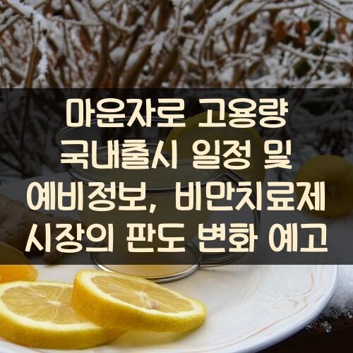 마운자로 고용량 국내출시 일정 및 예비정보, 비만치료제 시장의 판도 변화 예고