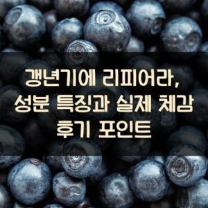 갱년기에 리피어라, 성분 특징과 실제 체감 후기 포인트