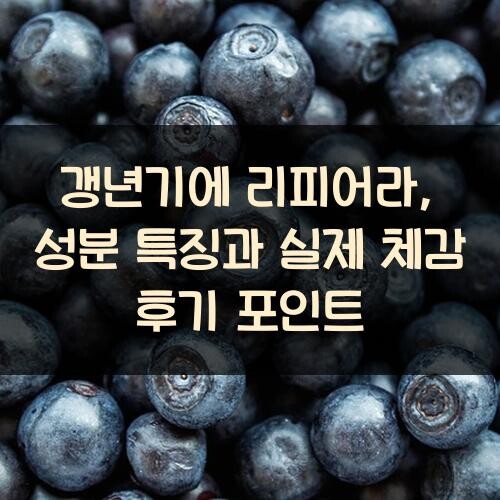 갱년기에 리피어라, 성분 특징과 실제 체감 후기 포인트