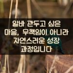 알바 관두고 싶은 마음, 무책임이 아니라 자연스러운 성장 과정입니다