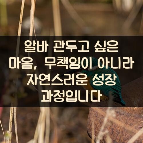 알바 관두고 싶은 마음, 무책임이 아니라 자연스러운 성장 과정입니다