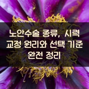 노안수술 종류, 시력 교정 원리와 선택 기준 완전 정리