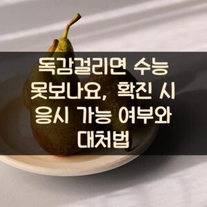 독감걸리면 수능 못보나요?, 확진 시 응시 가능 여부와 대처법 독감걸리면 수능 못보나요?, 확진 시 응시 가능 여부와 대처법