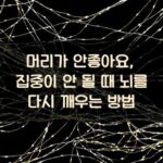 머리가 안좋아요, 집중이 안 될 때 뇌를 다시 깨우는 방법