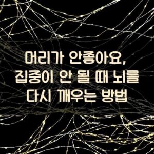 머리가 안좋아요, 집중이 안 될 때 뇌를 다시 깨우는 방법 머리가 안좋아요, 집중이 안 될 때 뇌를 다시 깨우는 방법