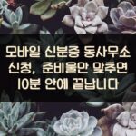 모바일 신분증 동사무소 신청, 준비물만 맞추면 10분 안에 끝납니다