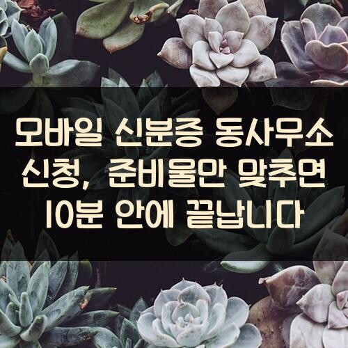 모바일 신분증 동사무소 신청, 준비물만 맞추면 10분 안에 끝납니다