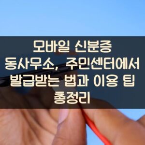모바일 신분증 동사무소, 주민센터에서 발급받는 법과 이용 팁 총정리
