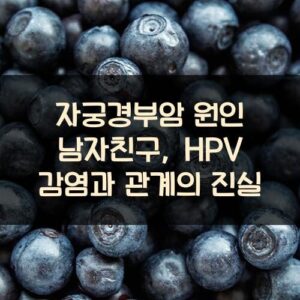 자궁경부암 원인 남자친구, HPV 감염과 관계의 진실