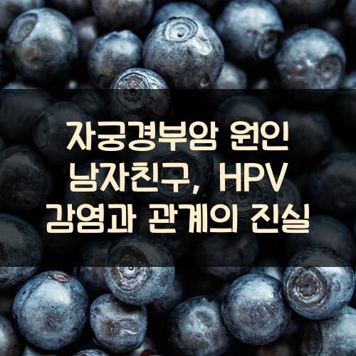 자궁경부암 원인 남자친구, HPV 감염과 관계의 진실