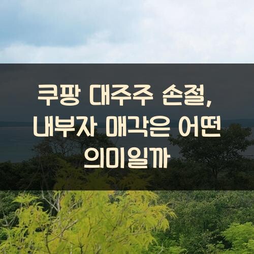 쿠팡 대주주 손절, 내부자 매각은 어떤 의미일까?