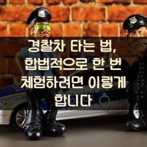 경찰차 타는 법, 합법적으로 한 번 체험하려면 이렇게 합니다