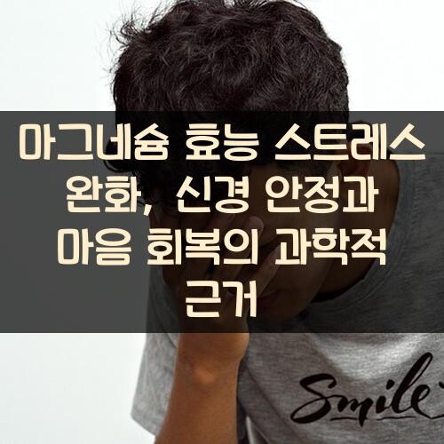 마그네슘 효능 스트레스 완화, 신경 안정과 마음 회복의 과학적 근거