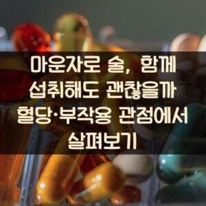 마운자로 술, 함께 섭취해도 괜찮을까? 혈당·부작용 관점에서 살펴보기