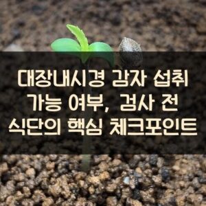 대장내시경 감자 섭취 가능 여부, 검사 전 식단의 핵심 체크포인트