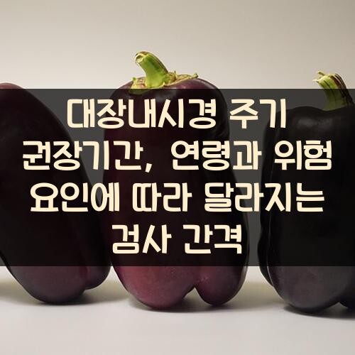 대장내시경 주기 권장기간, 연령과 위험 요인에 따라 달라지는 검사 간격