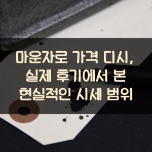 마운자로 가격 디시, 실제 후기에서 본 현실적인 시세 범위