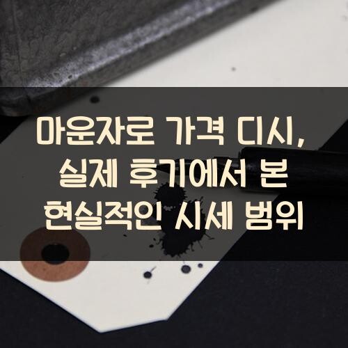 마운자로 가격 디시, 실제 후기에서 본 현실적인 시세 범위
