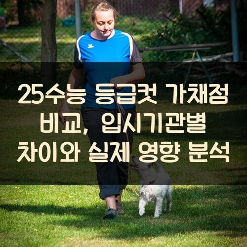 25수능 등급컷 가채점 비교, 입시기관별 차이와 실제 영향 분석