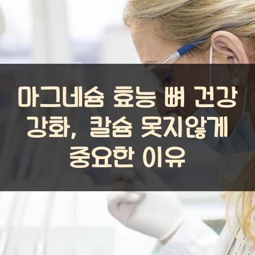 마그네슘 효능 뼈 건강 강화, 칼슘 못지않게 중요한 이유
