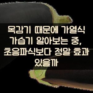 목감기 때문에 가열식 가습기 알아보는 중, 초음파식보다 정말 효과 있을까?
