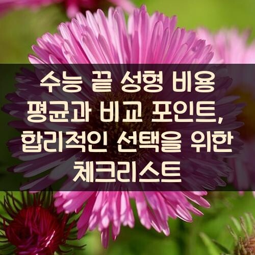수능 끝 성형 비용 평균과 비교 포인트, 합리적인 선택을 위한 체크리스트