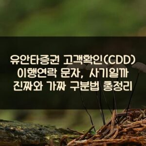 유안타증권 고객확인(CDD) 이행연락 문자, 사기일까? 진짜와 가짜 구분법 총정리