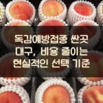 독감예방접종 싼곳 대구, 비용 줄이는 현실적인 선택 기준