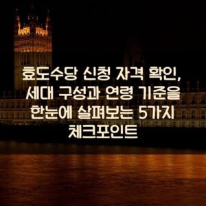 효도수당 신청 자격 확인, 세대 구성과 연령 기준을 한눈에 살펴보는 5가지 체크포인트