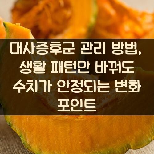 대사증후군 관리 방법, 생활 패턴만 바꿔도 수치가 안정되는 변화 포인트